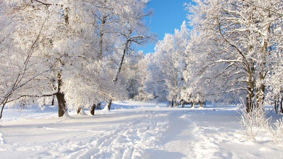 Природа зимой — Teletype