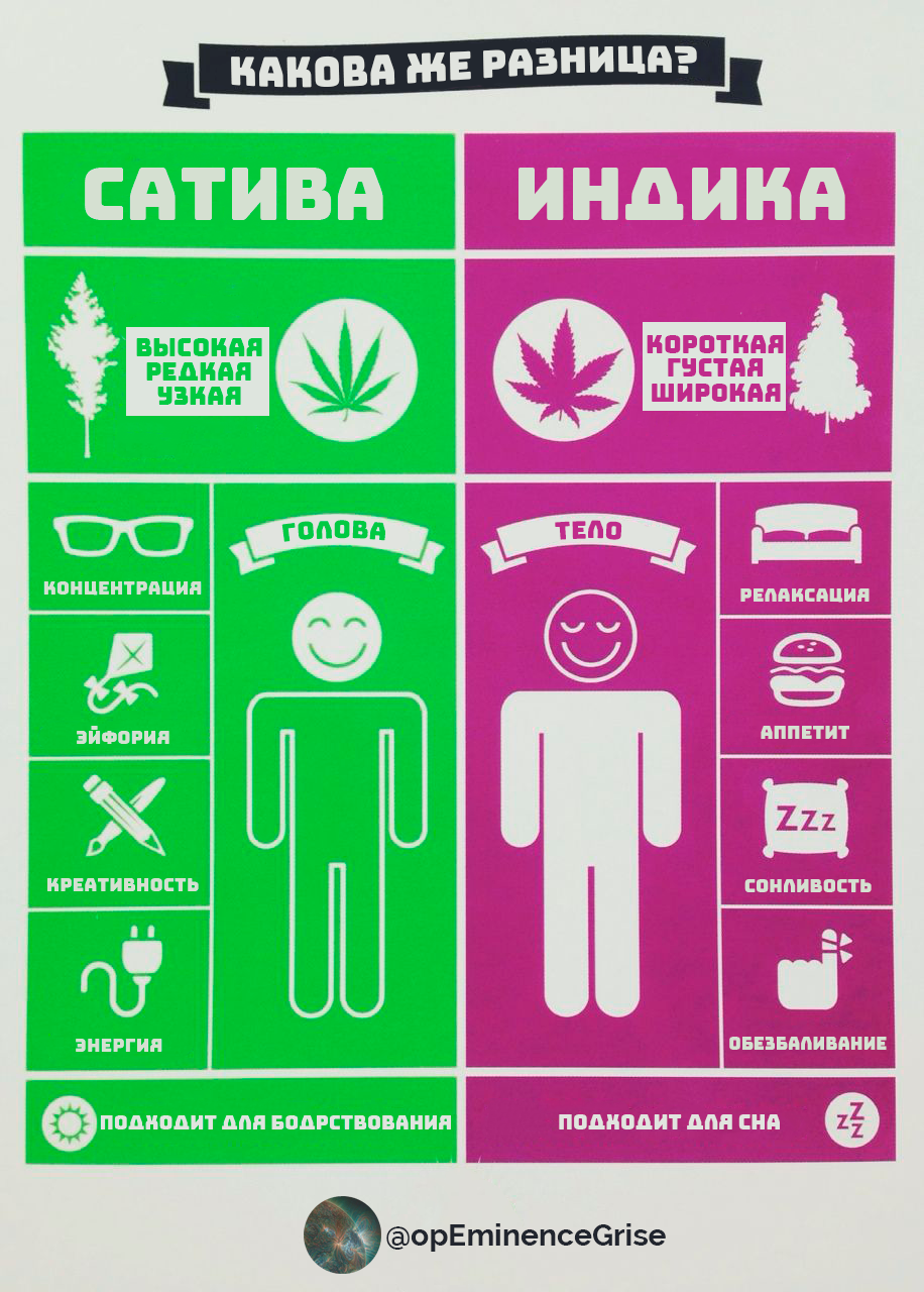 минусы марихуаны