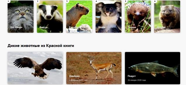 дикие животные wildfauna.ru